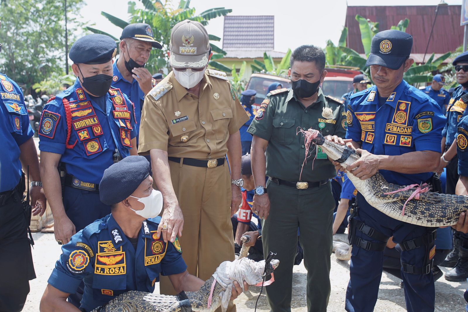 Bupati HM Wardan Saksikan Penyerahan Satwa Liar Tangkapan DPKP Inhil kepada BBKSDA Riau