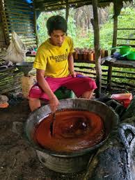 Pemuda Desa Teluk Kiambang, Inhil Sukses Raih Peluang Bisnis dari Nira Kelapa