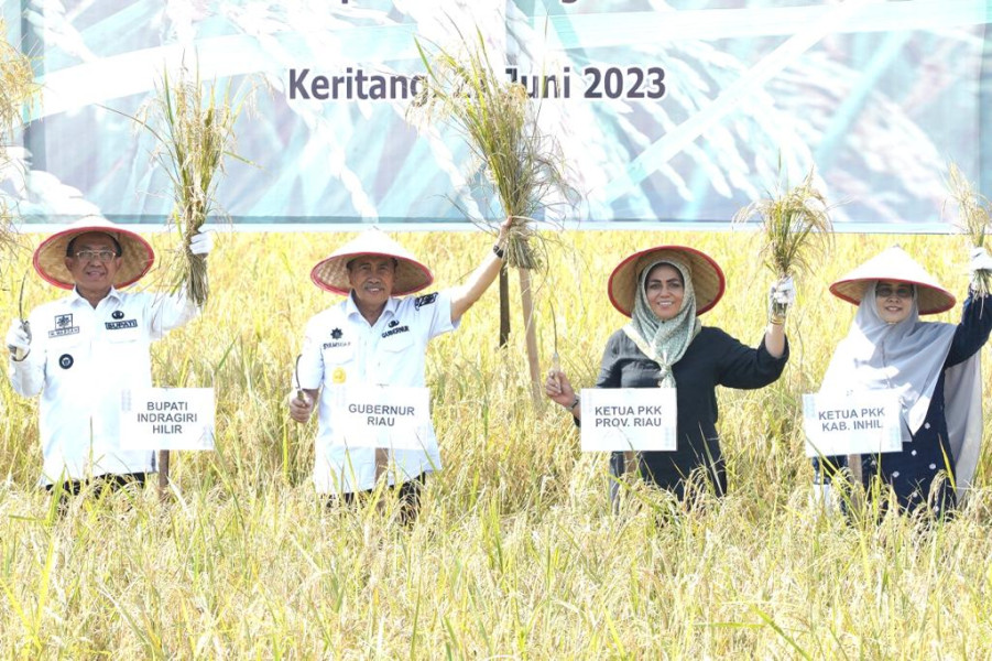 Panen Raya Padi Bersama Gubri, Bupati HM Wardan Harapkan Pemprov Riau Terus Support Petani Inhil