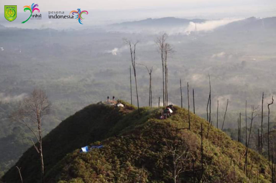 Keindahan Wisata Alam Apa Saja yang Ada di Bukit Condong Inhil, Simak di Sini!