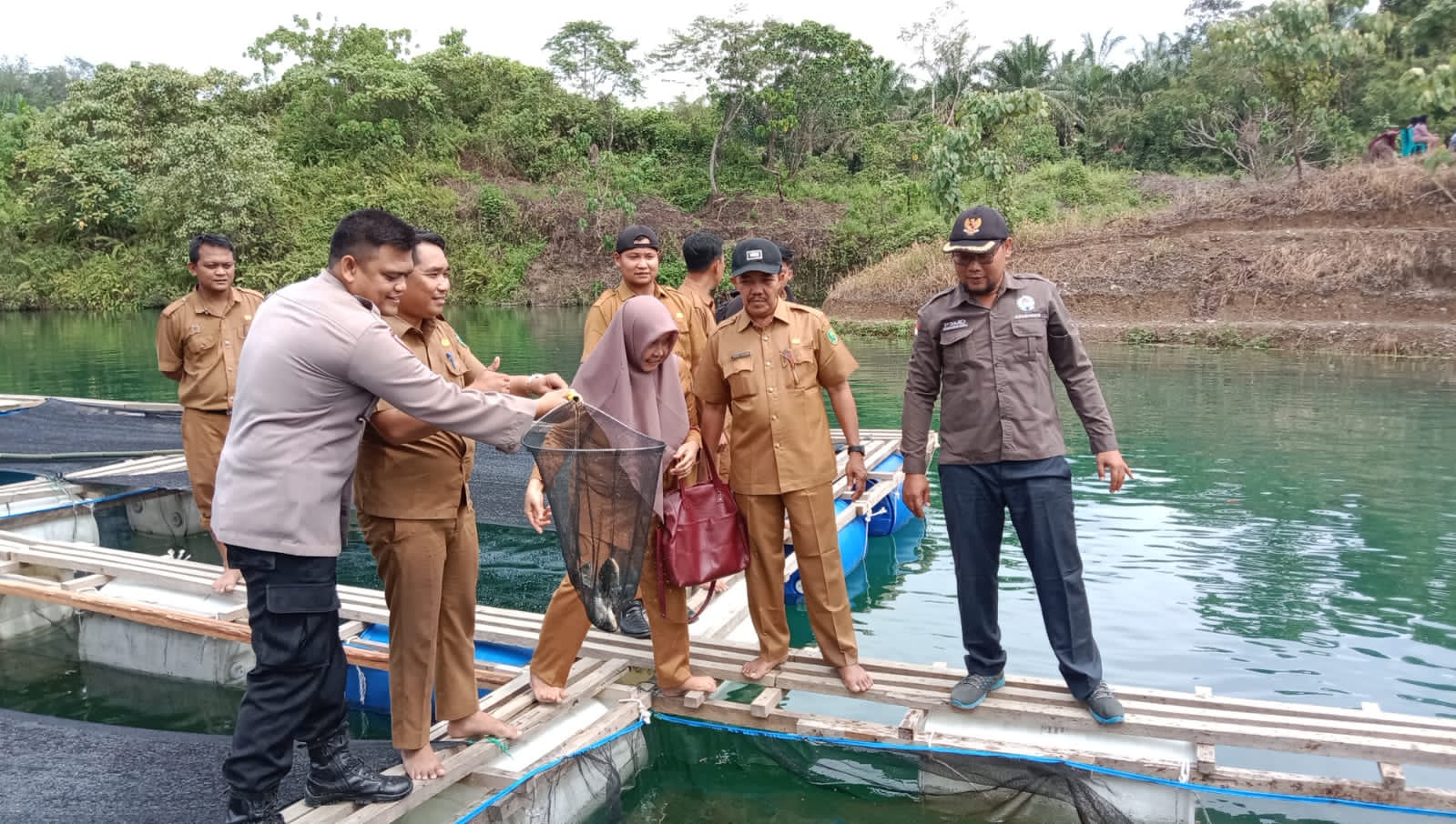 Desa Usul Inhu Panen Perdana Ikan Nila Metode Keramba Apung