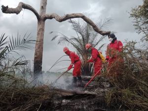 Bertambah Satu Lagi, Empat Daerah di Riau Berstatus Siaga Darurat Karhutla