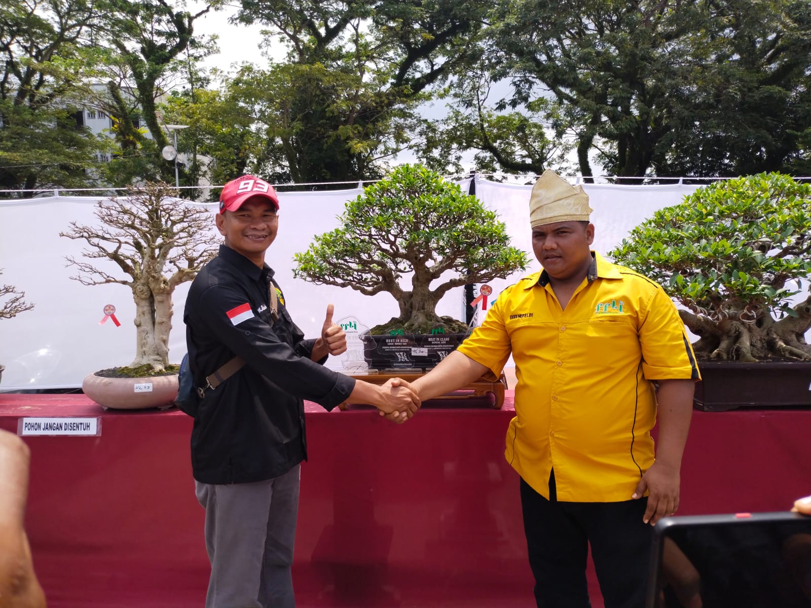 Ketua PPBI Inhu Sukses Gelar Pameran Bonsai se-Riau