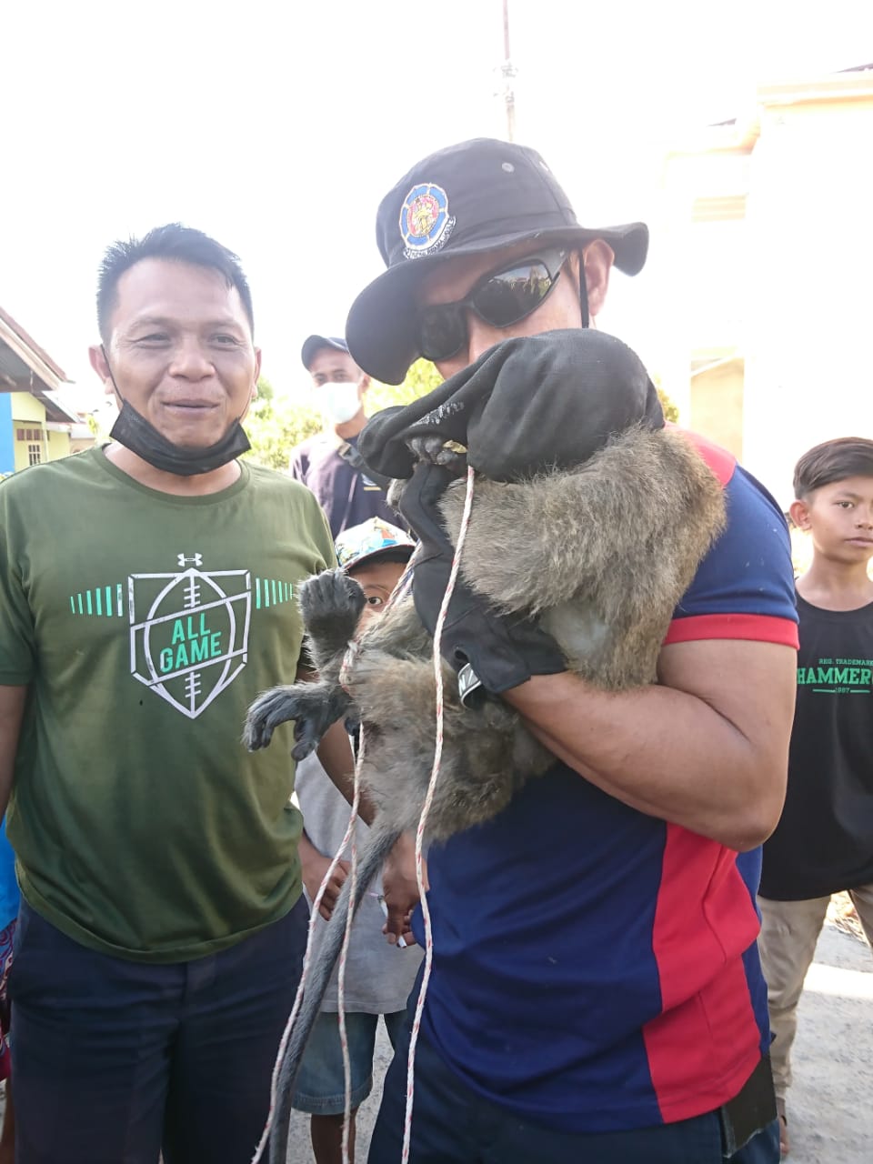 Tim Rescue DPKP, Berhasil Amankan Monyet Yang Meresahkan Masyarakat Jalan Harapan Parit 8