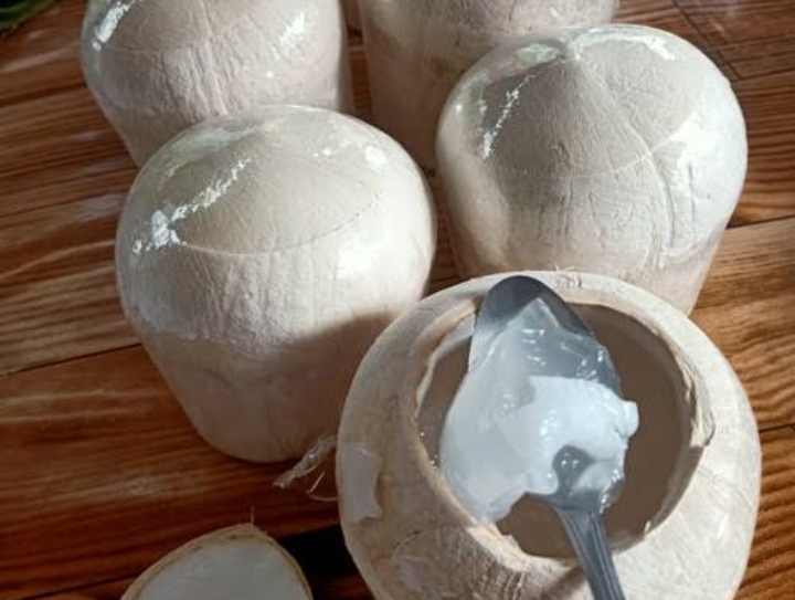 Coconut Jelly Usaha Inovasi Baru Warga Inhil Meninggal Harga Kelapa