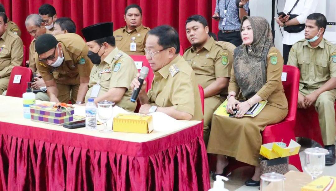 Paparkan Strategi Penanganan Inflasi di inhil, Bupati HM Wardan Ikuti High Level Meteting TPID Provinsi Riau