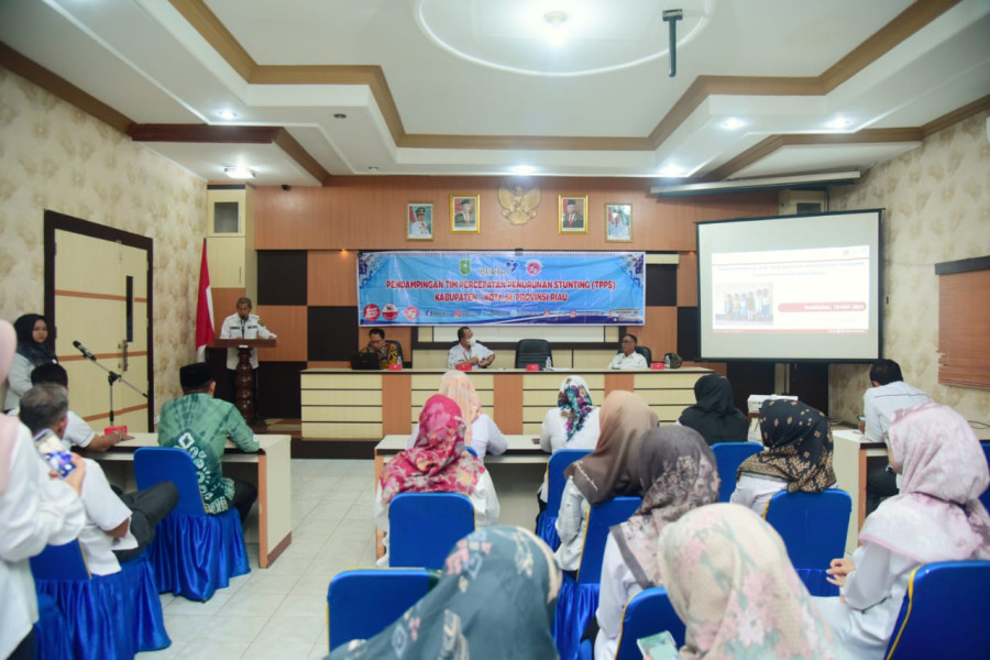 Bersinergi Dengan BKKBN Riau, DP2KBP3A Inhil Gelar Rapat TPPS