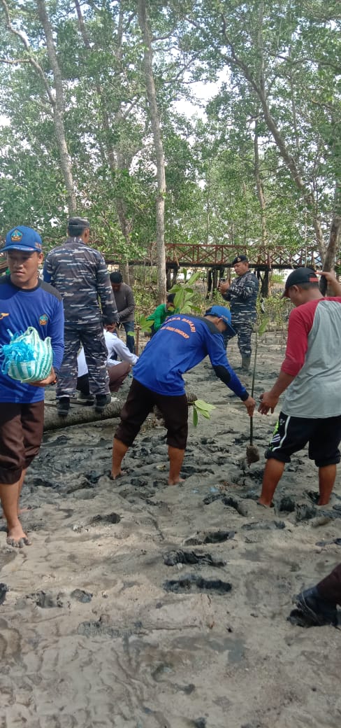 Lanal Dabo Singkep Tanam Ribuan Bibit Mangrove di Singkep Pesisir